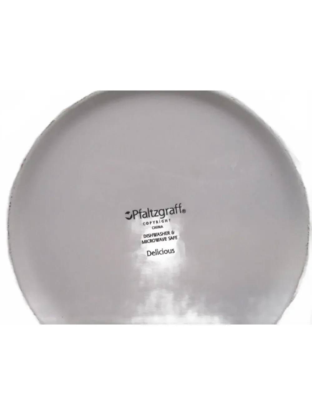 Vintage Pfaltzgraff Delicious Dinner Plate 11
